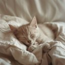 Zonnelicht Symfonie - Strand meditatie ochtend ()