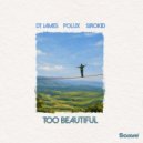 DT James & Polux & Sirokid - Too Beautiful