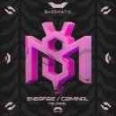 Mr.Daniil - Enerfire