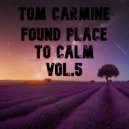 Tom Carmine - Found Place To Calm Vol.5