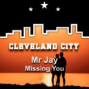 Mr Jay - Missing You