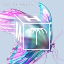 Volkoder, Adam Ten - Got Me Crazy